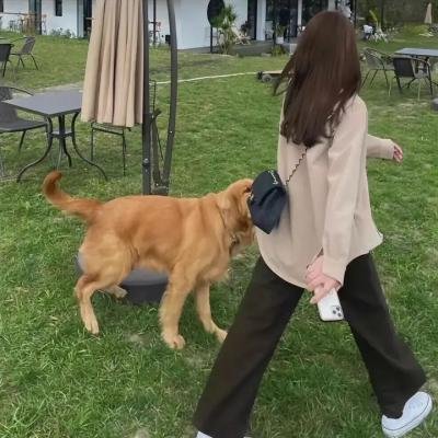 卧虎藏龙2